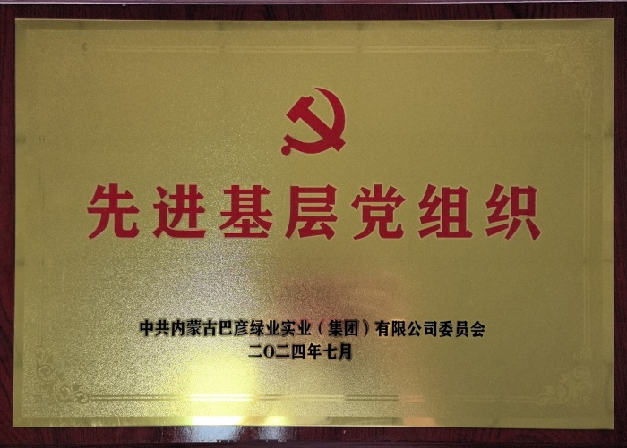 集团公司先进基层党组织